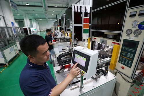 安徽合肥 培育科技型中小企業(yè)，以計(jì)算機(jī)軟硬件技術(shù)開發(fā)推動(dòng)高質(zhì)量發(fā)展